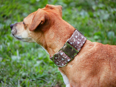 Cowboy Dog Collar