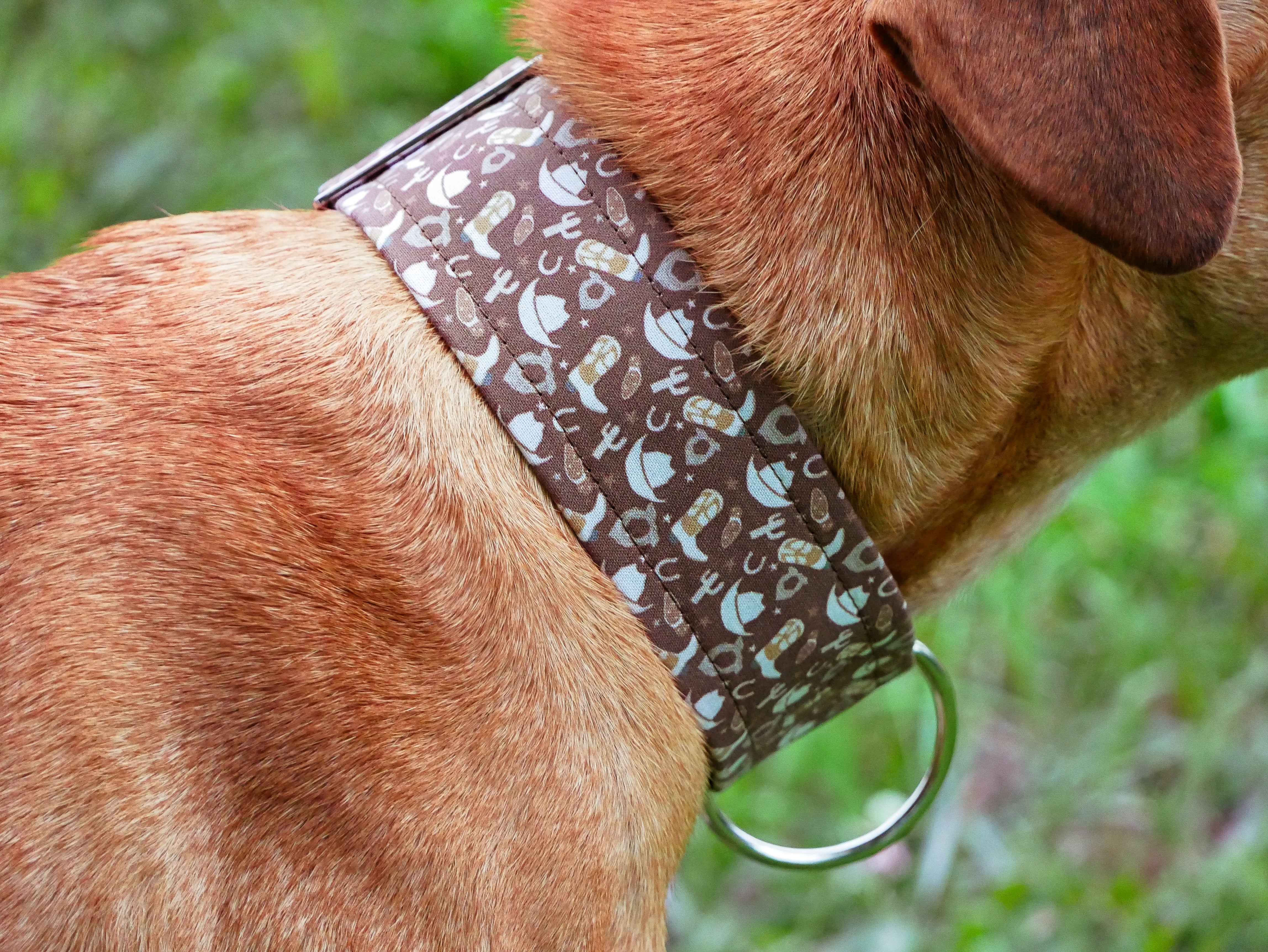 Cowboy Dog Collar