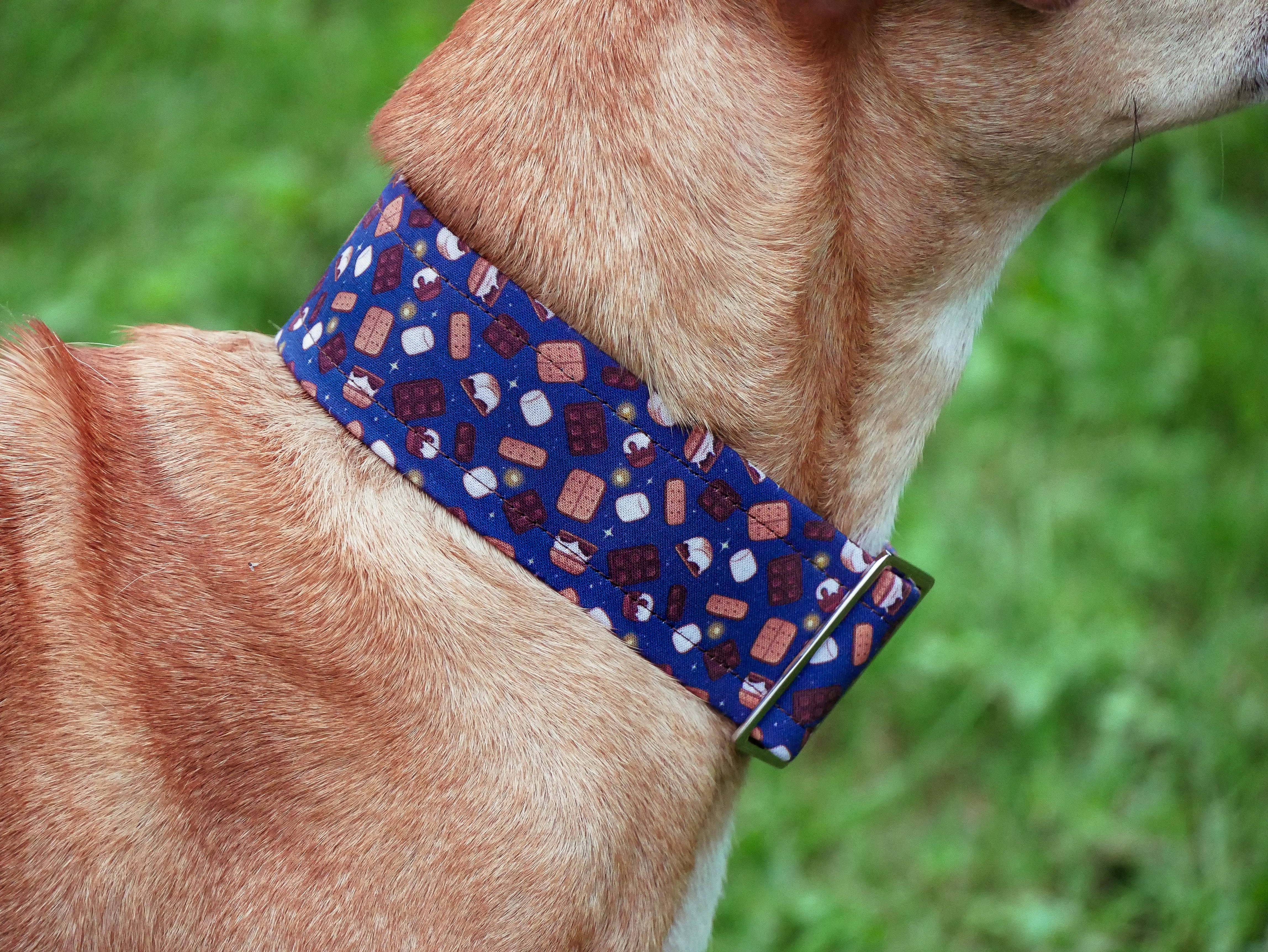 S'mores Dog Collar