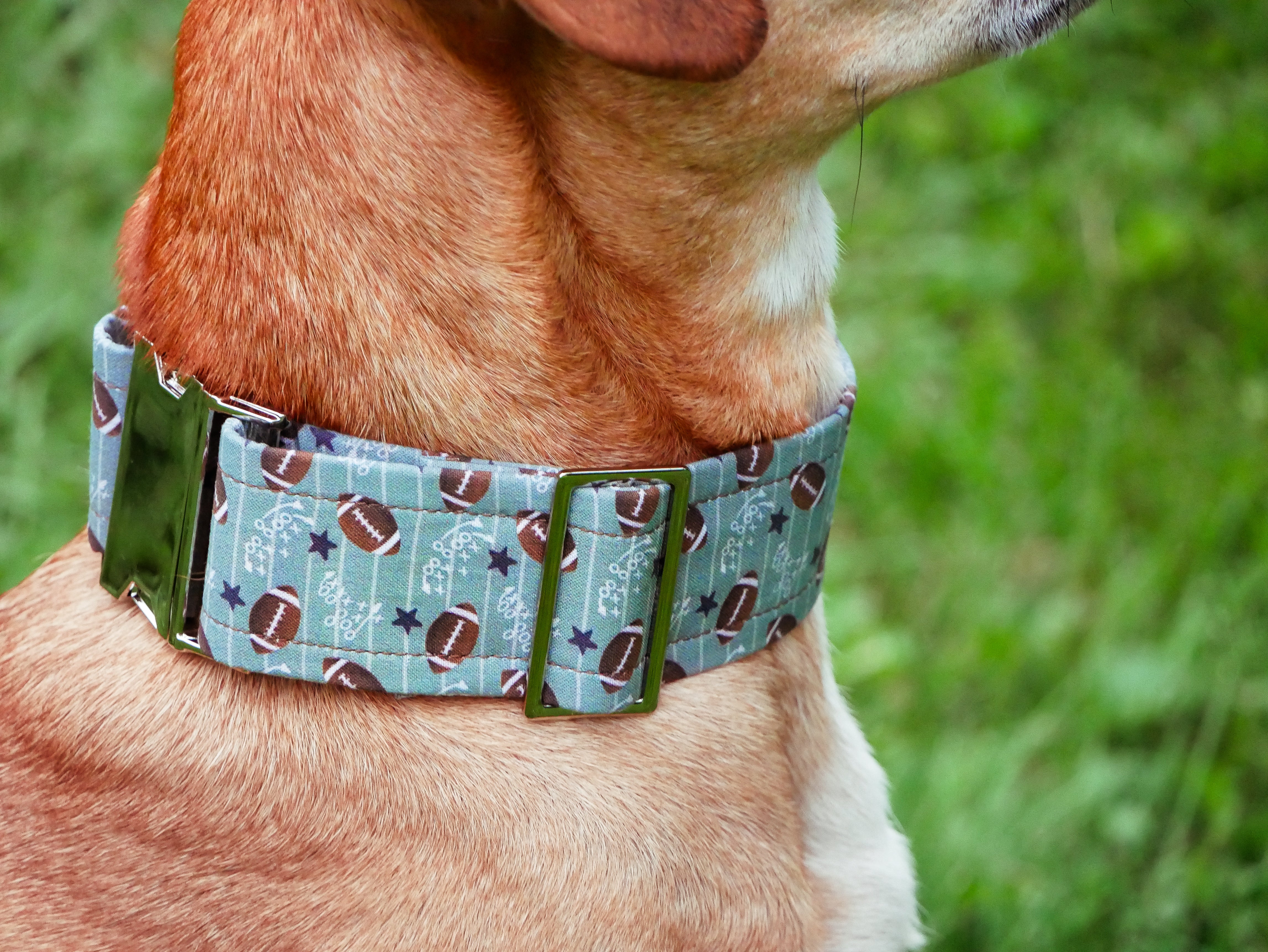 Football Field Dog Collar