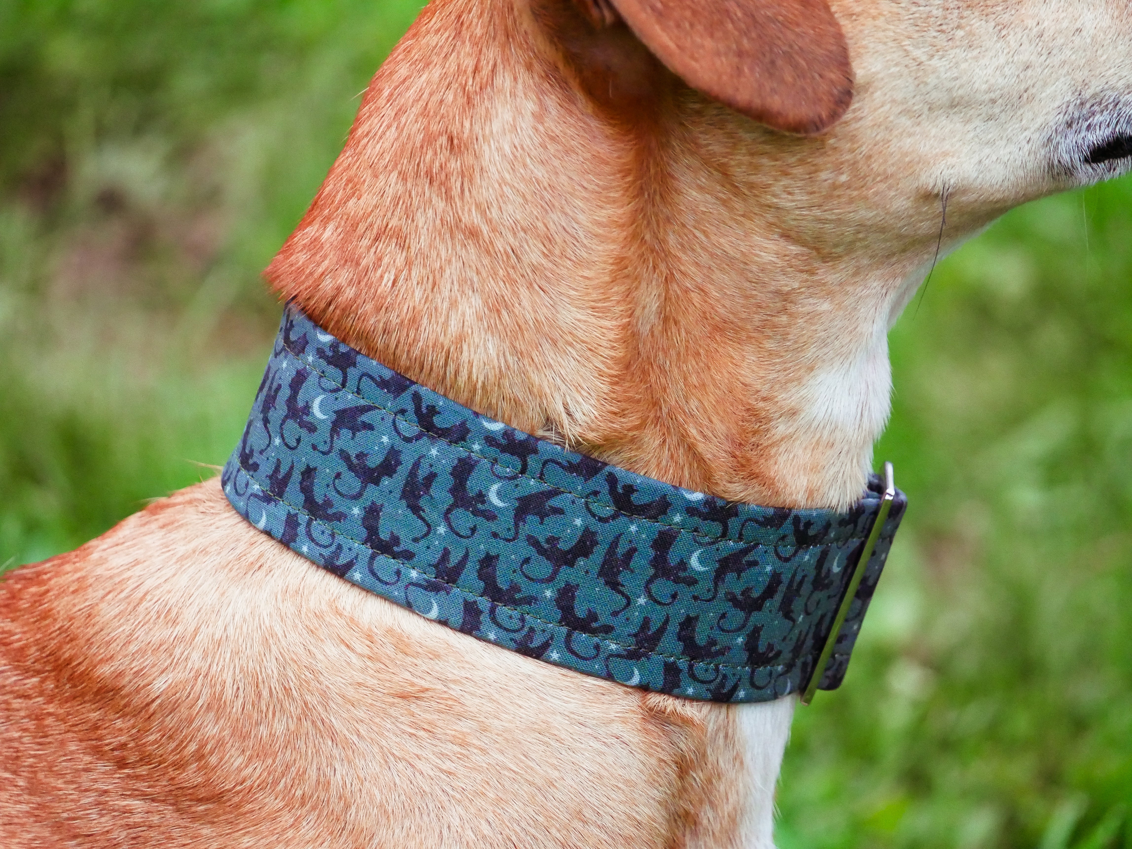 Black Dragons Dog Collar