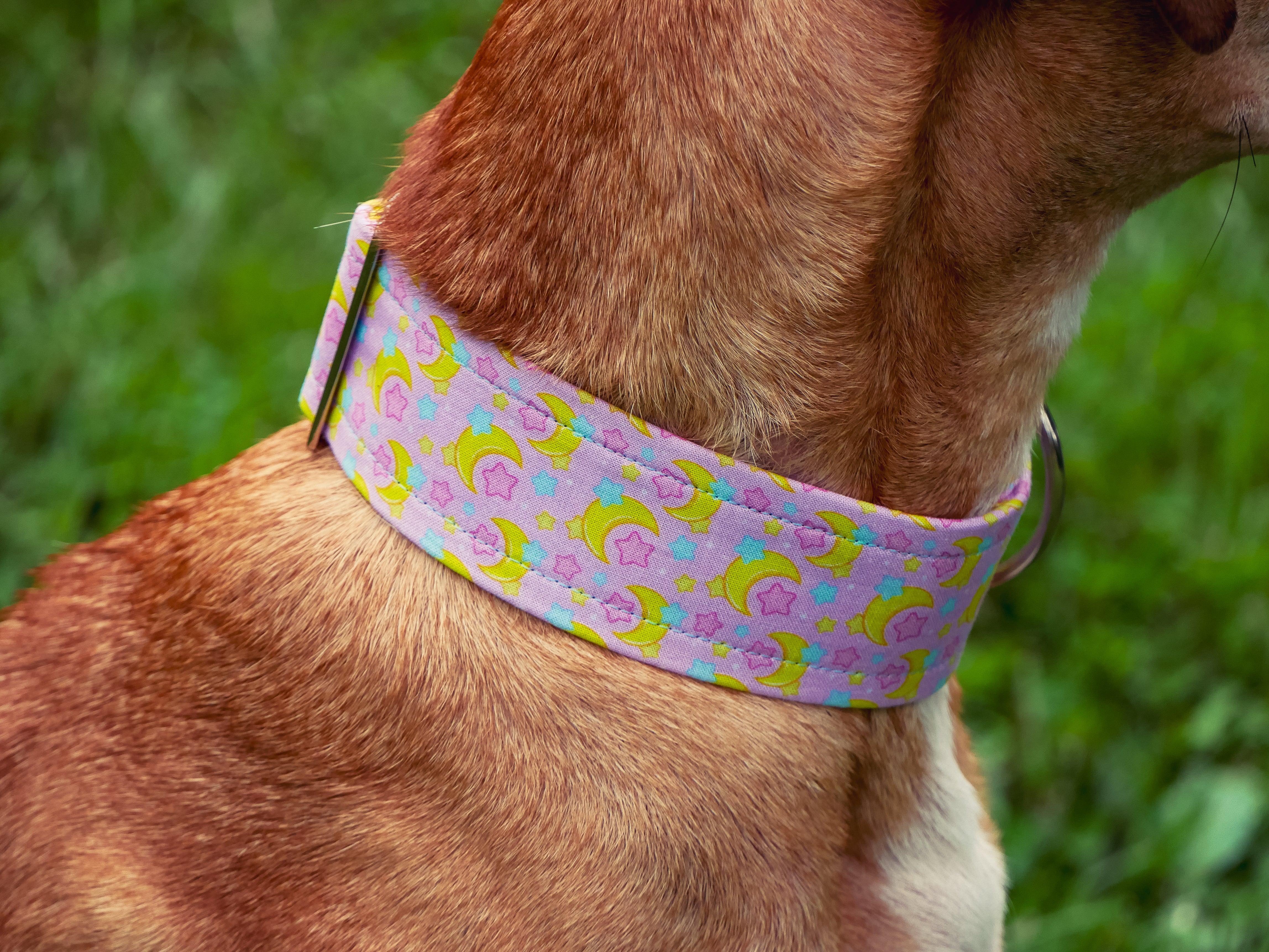Pink Celestial Dog Collar