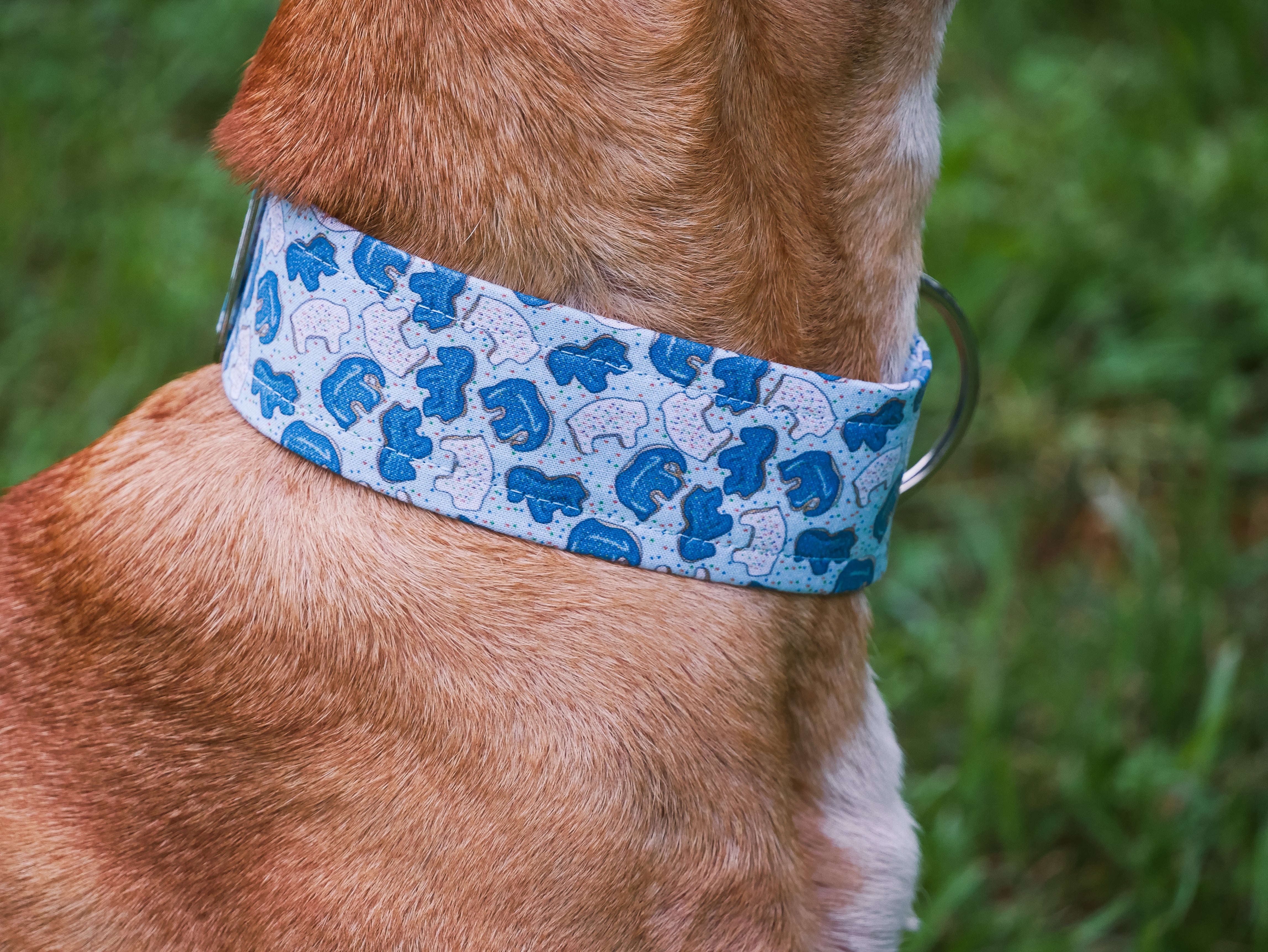 Blue Animal Cookie Dog Collar