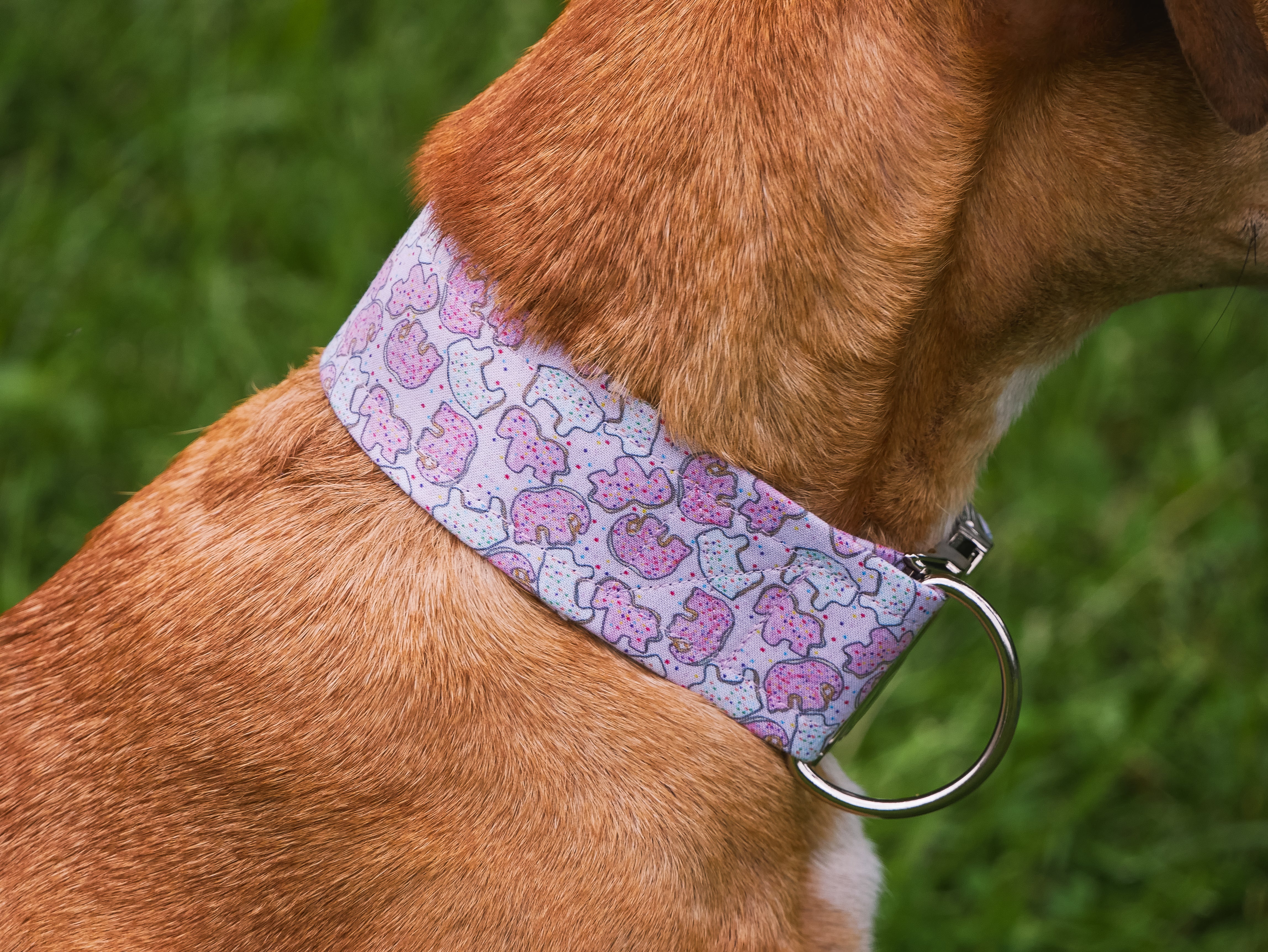 Pink Animal Cookie Dog Collar